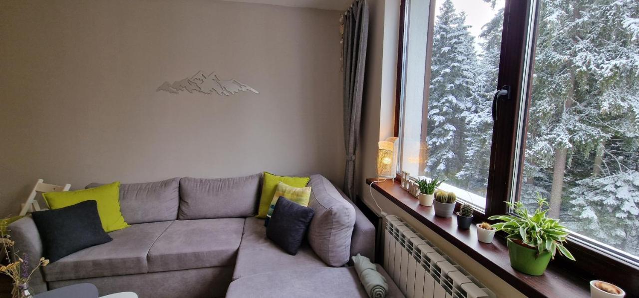 Pine Tree Apartment / Borovets Gardens Kültér fotó