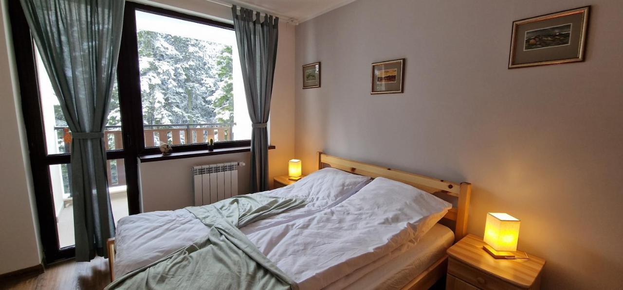 Pine Tree Apartment / Borovets Gardens Kültér fotó